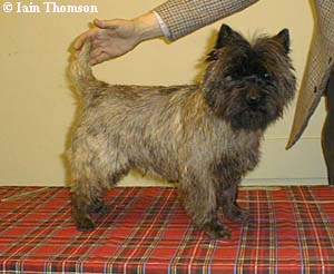 click picture to expand